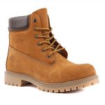 Scooter—Erkek-Nubuk-Bot-8616